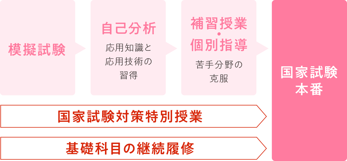 図版：国家試験対策