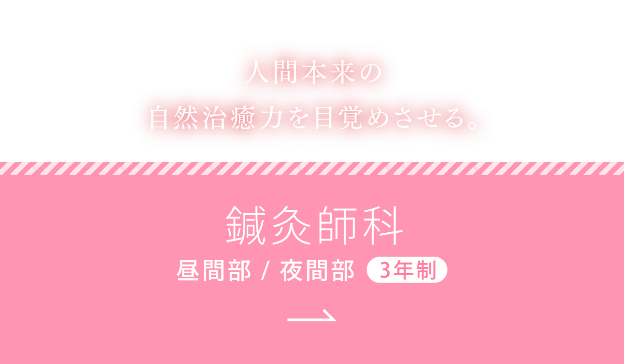 鍼灸師科 昼間部 / 夜間部 3年制 歴史に育まれた技で、人間本来の自然治癒力を目覚めさせる。