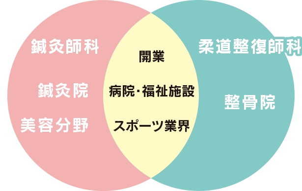 目指せる主な就職先や職業分野